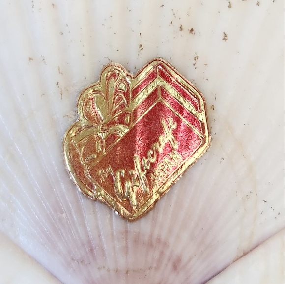 LOT Japanese Scallop Shells for Cooking - Picture 5 of 8